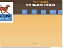 Tablet Screenshot of northeastwirehairedvizslas.com